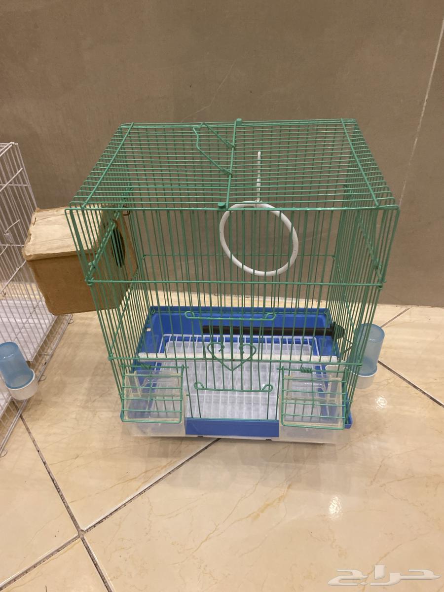 اقفاص ببغاوات للبيع64495624673922112