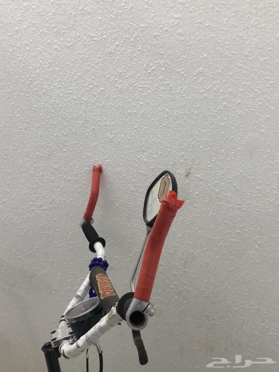 Cyclist storage golden seal front and rear lights, horns and meter64501998035458110