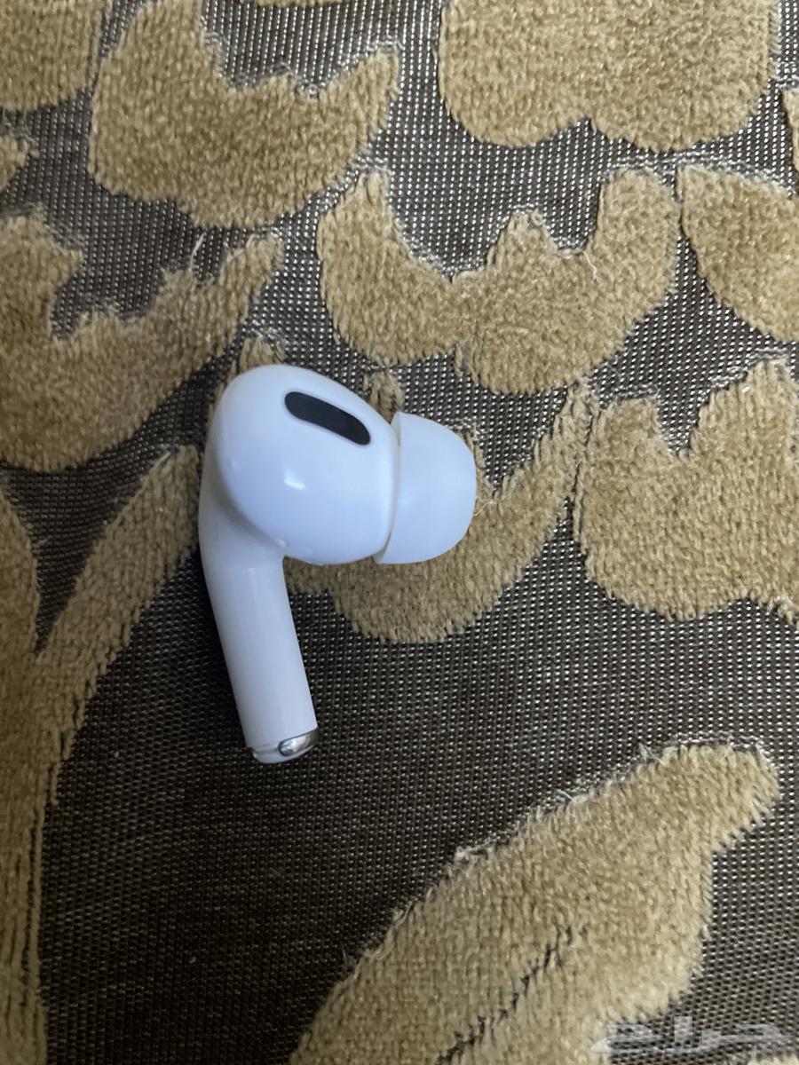 Apple Earphone64496737156737110