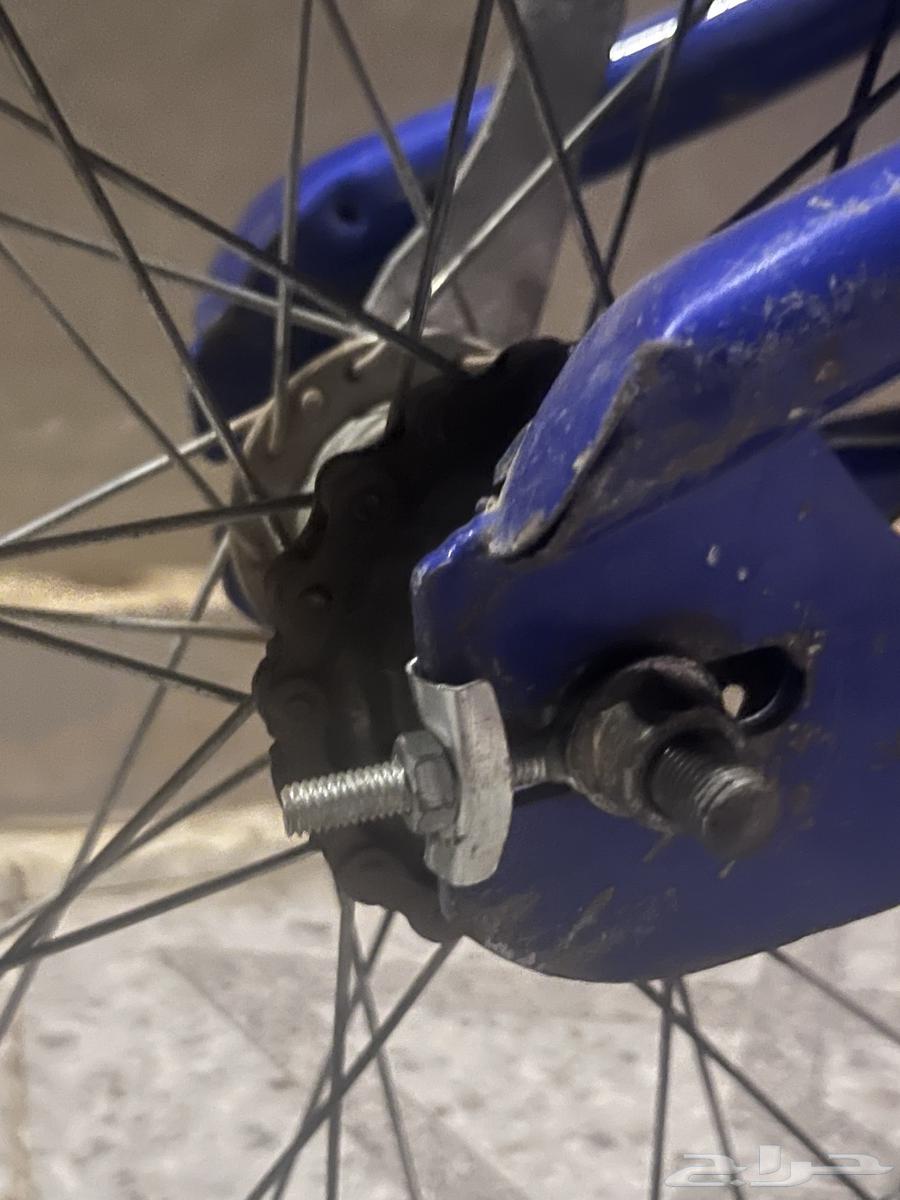 Clean Cobra motorcycle, missing a stand and the rest, must come with a bird64502693850881114