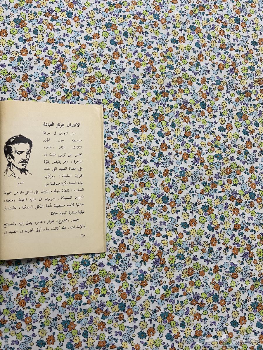 Red Sea Riddle64498187438209113