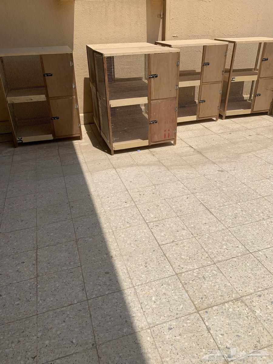 Wooden Locker64495665698689110