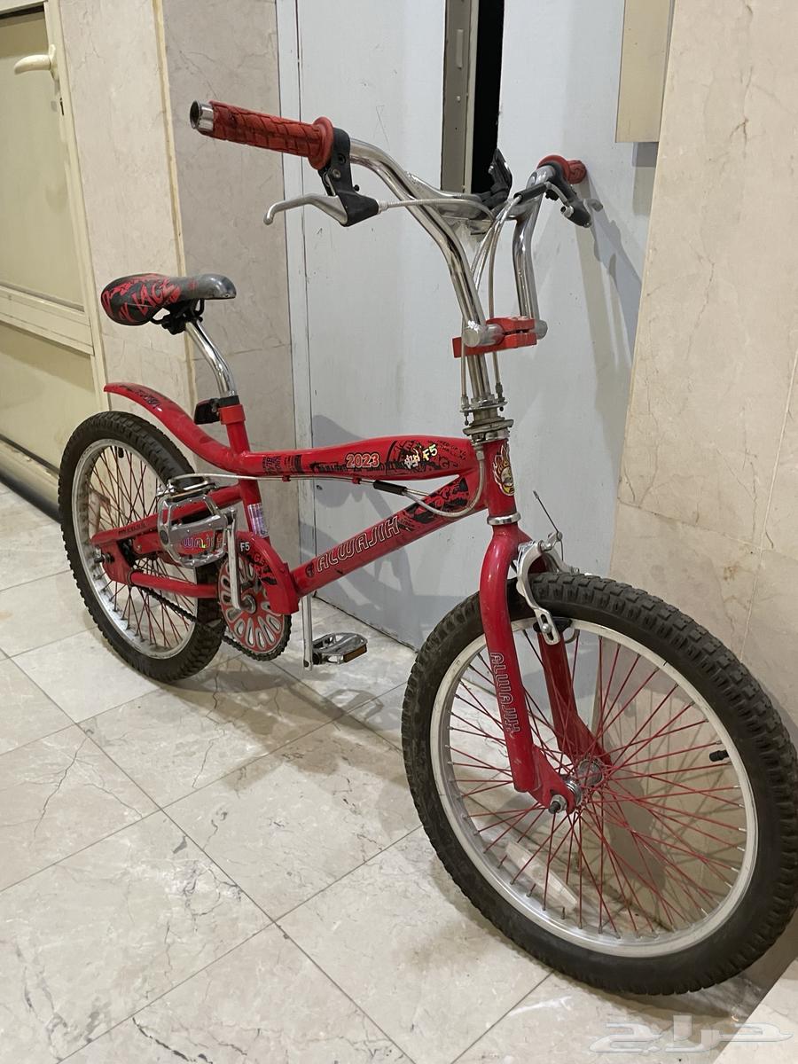 Original Cobra Size 2064496023213187110