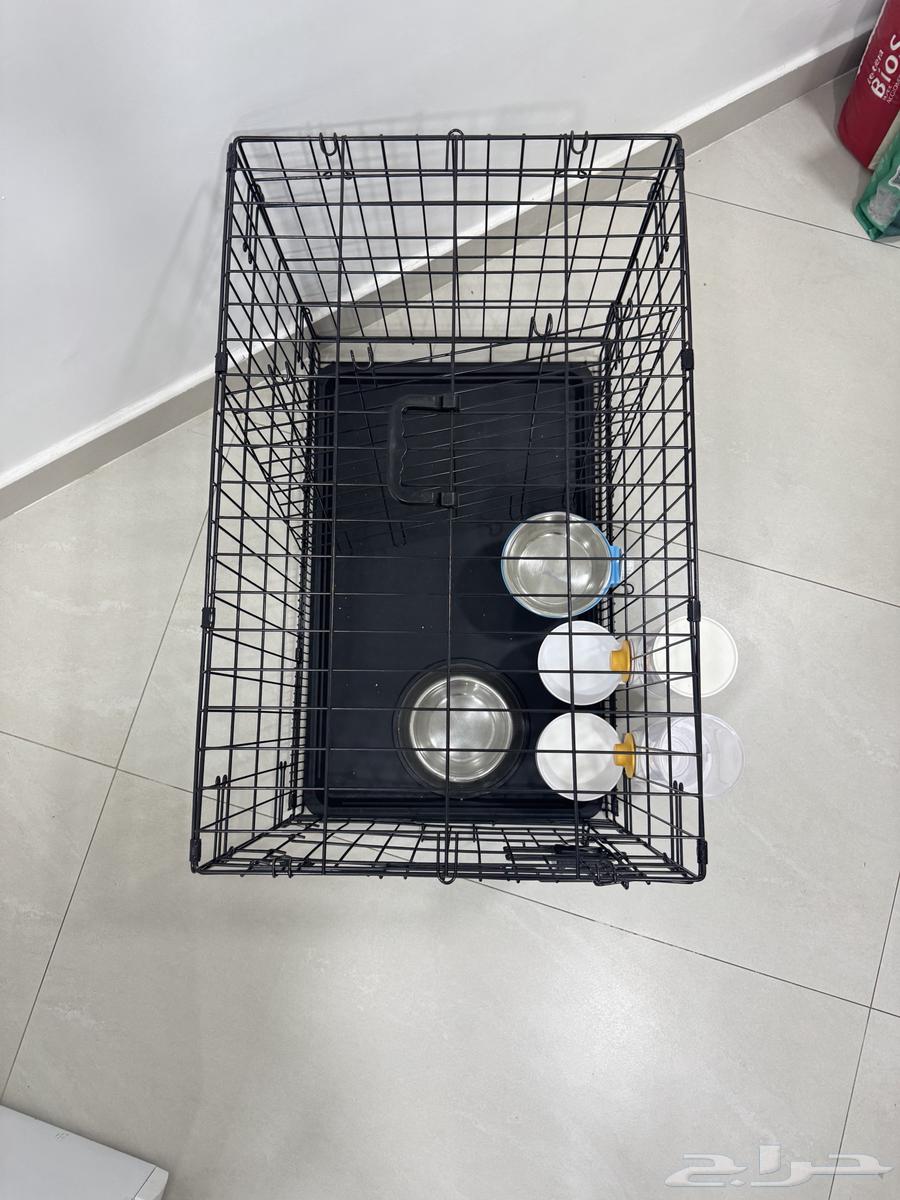 قفص حيوانات للبيع بالجبيل الصناعية.64500243112578112