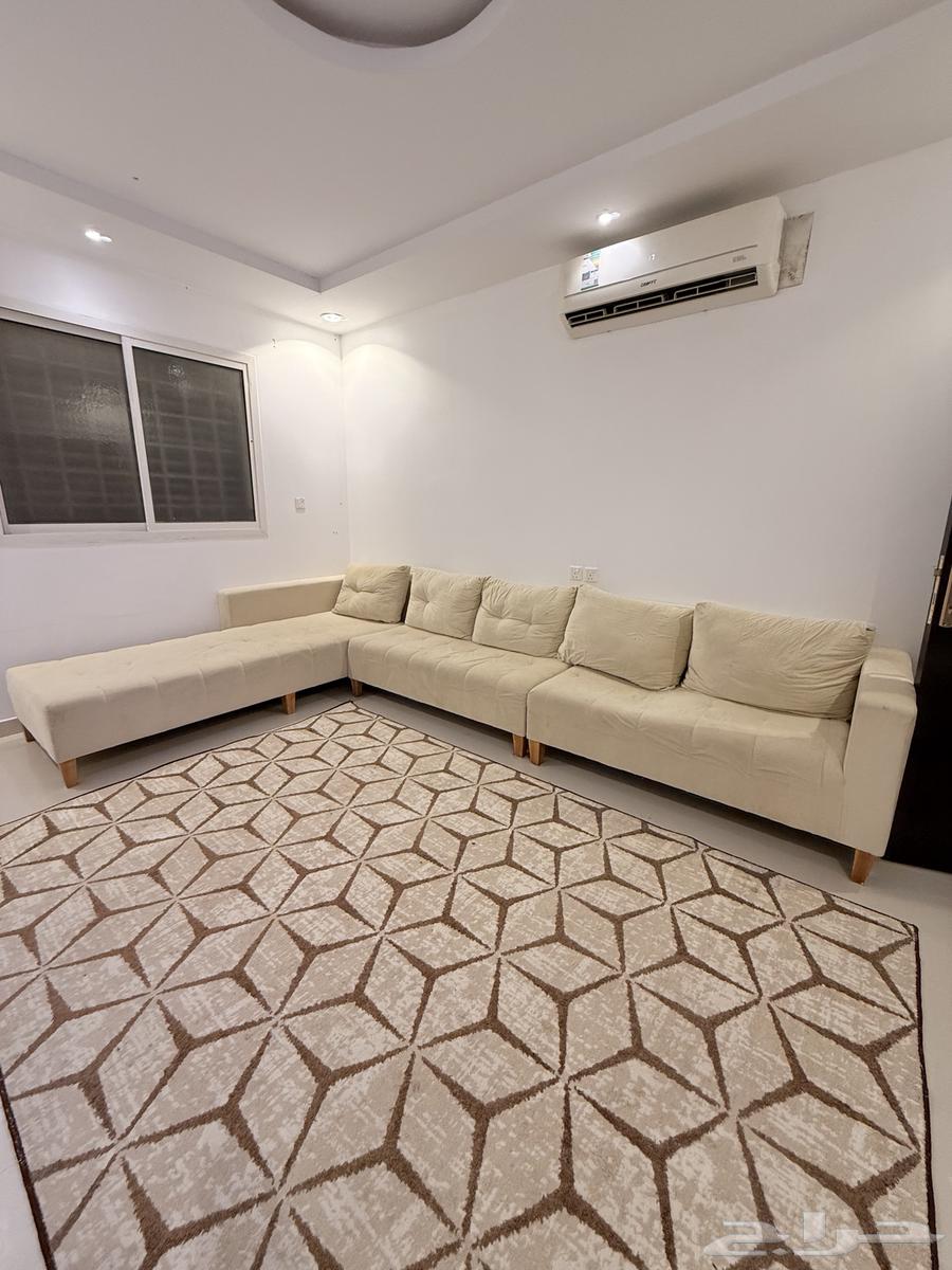 Alif Lam connected bench64502199479170111