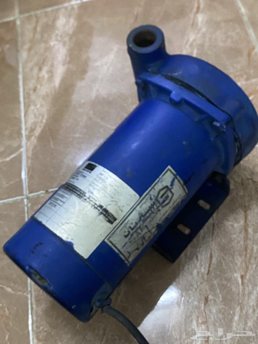 Semnan Dynamo64502639277698114