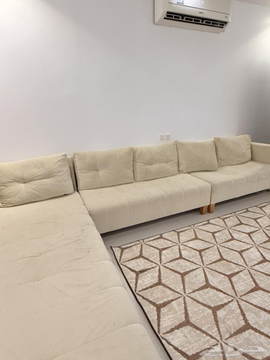 Alif Lam connected bench64502199479170113