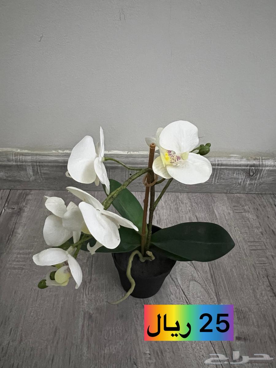Artificial roses and artificial plants from IKEA for sale64495720376195111