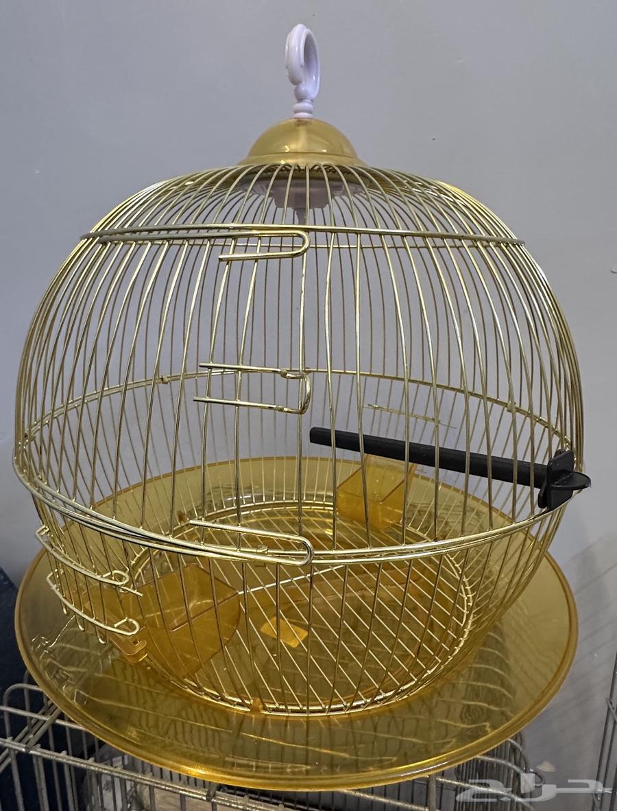 قفص طيور زينة64499353708547111