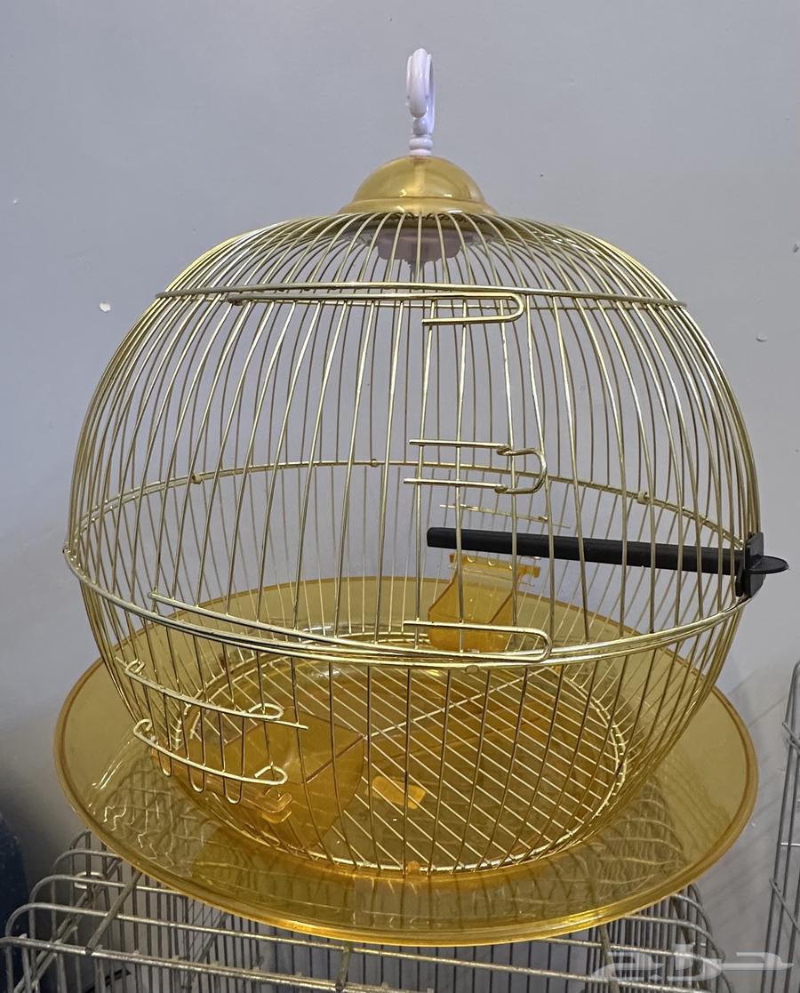 قفص طيور زينة64499353708547113