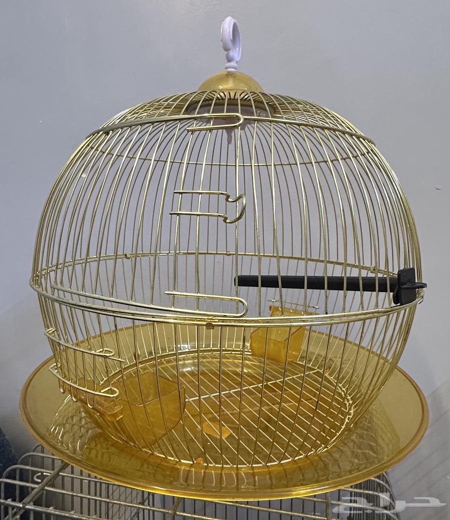 قفص طيور زينة64499353708547110