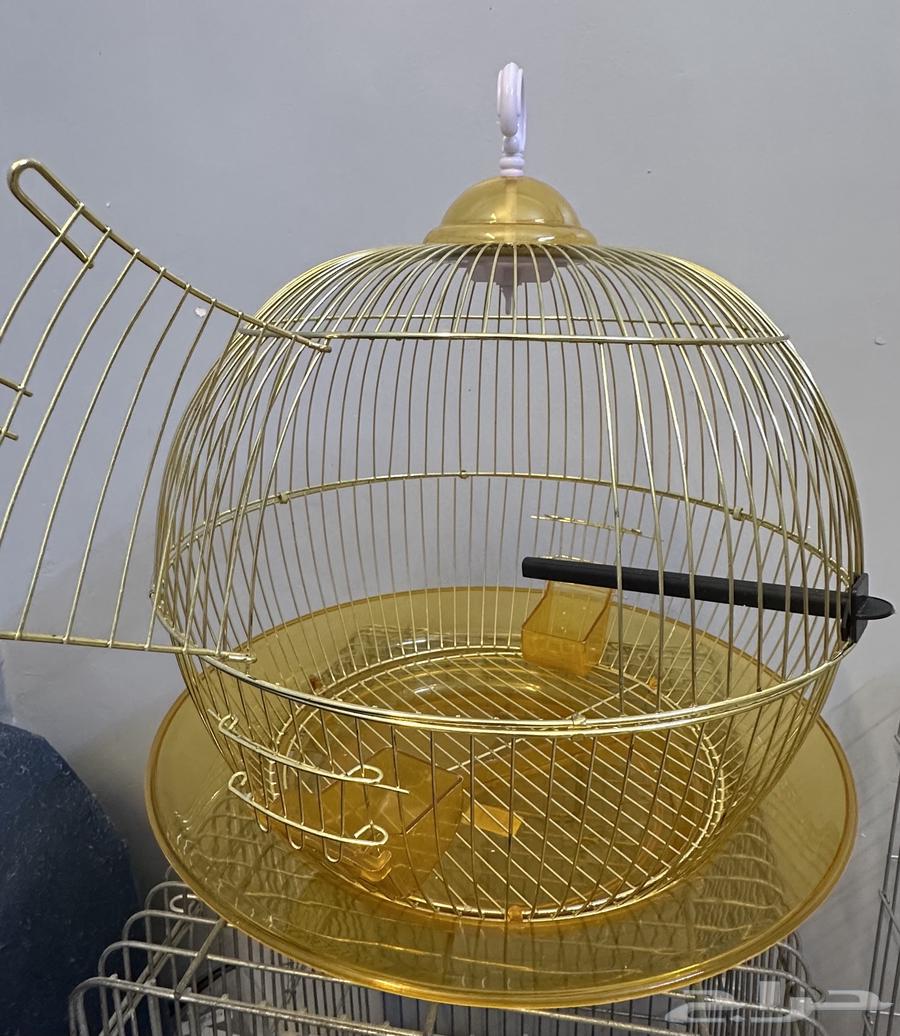 قفص طيور زينة64499353708547112