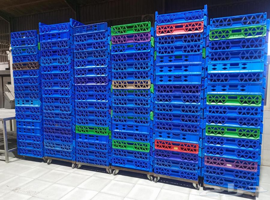 سلال خبز ومعجنات64501243384705112