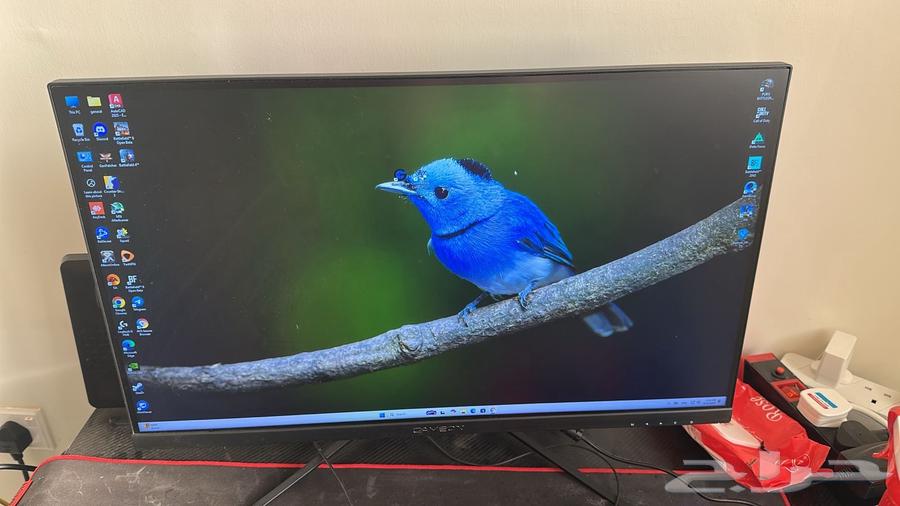 Jasmine64499773127554110