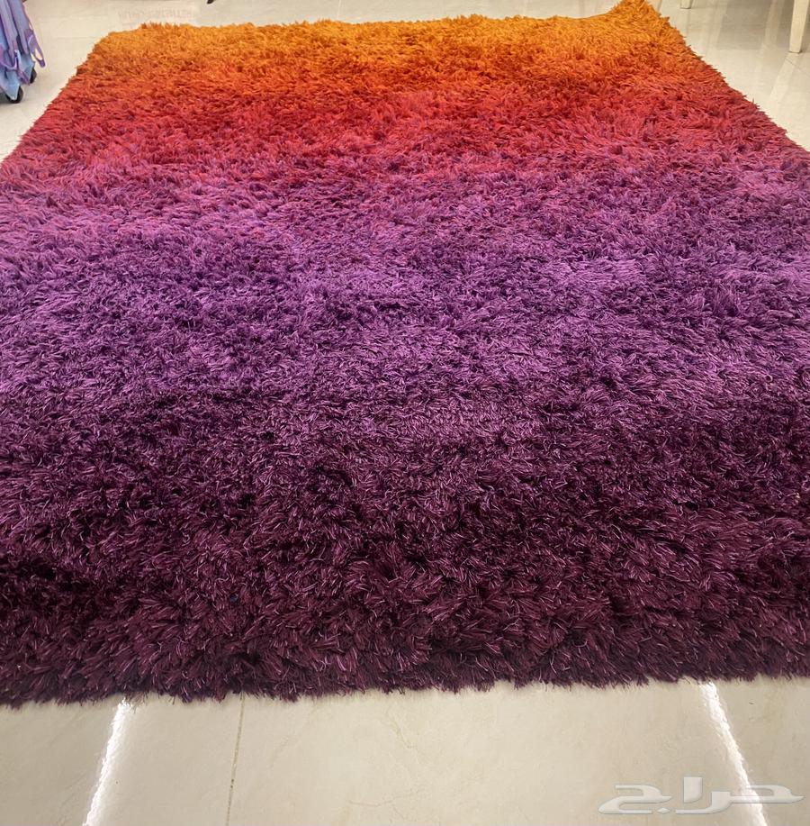 Zoolia or Carpet64499939789058110