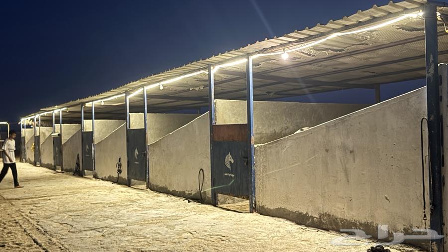 اسطبل متكامل للبيع64500201518465114