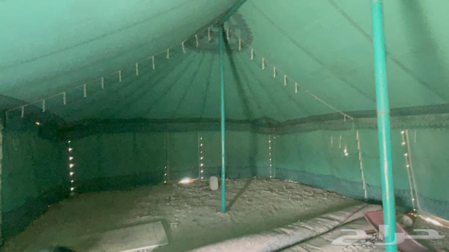 للبيع خيمة 12في 664497924727297111