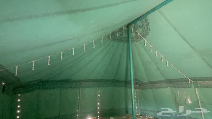 للبيع خيمة 12في 664497924727297113