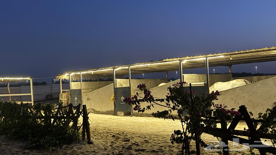 اسطبل متكامل للبيع64500201518465112