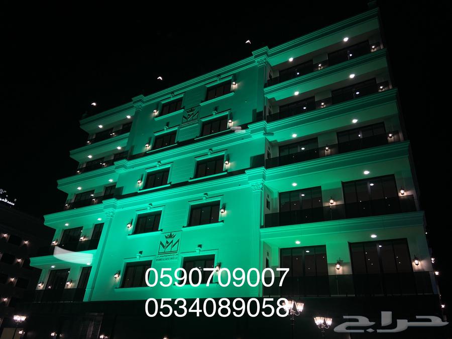 Lighting, Screens, and National Day Supplies64494911691009110