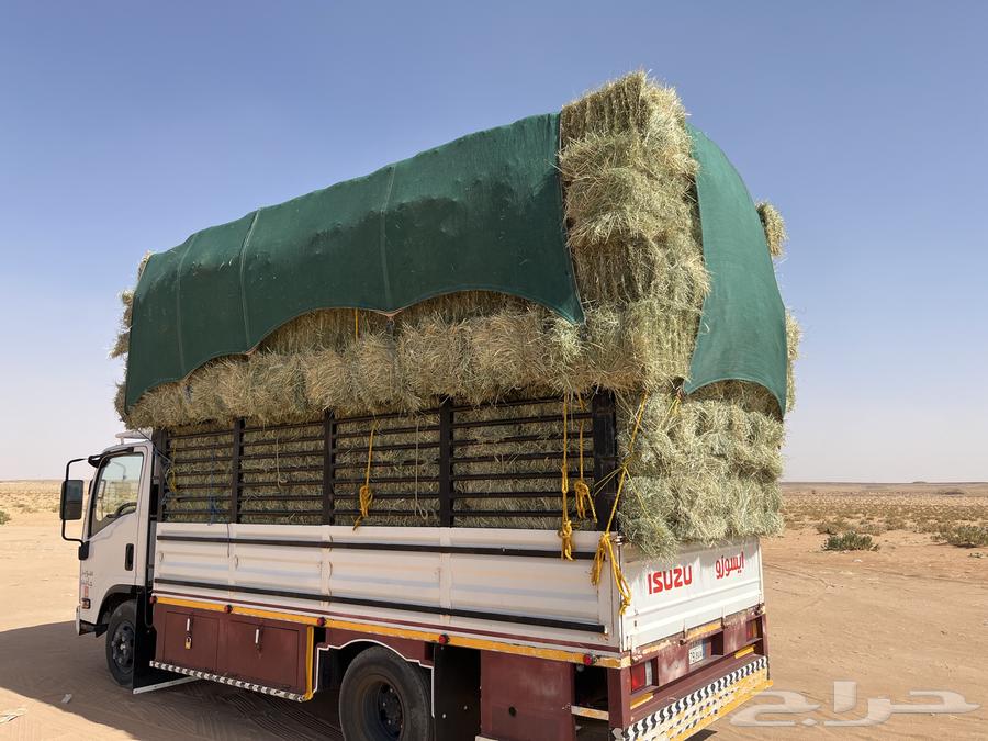 Rhodes became smooth Kfww64498411175681111