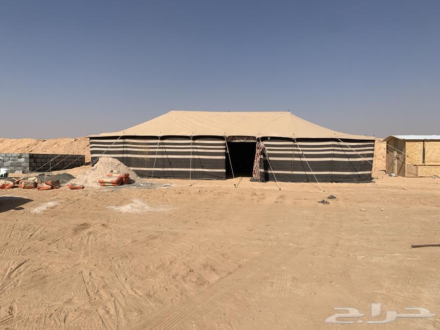 Need camping tents, boxes, beds, hair tents, used and new, all coastal areas64502680056577114