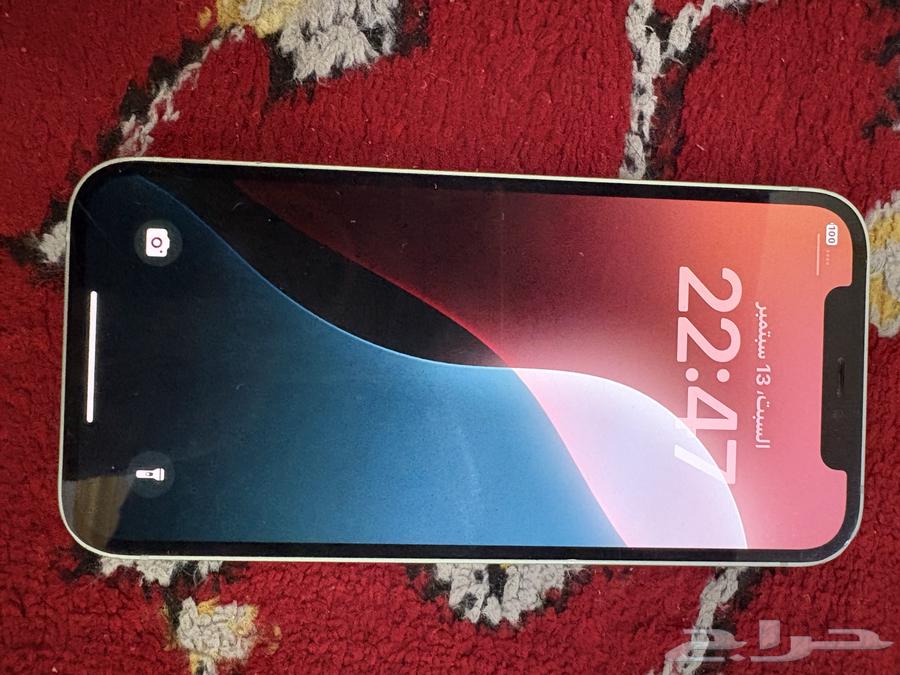 iPhone 12 regular64502831439106110