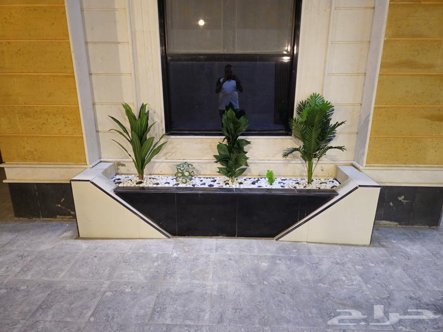 تنسيق حدائق المدينة المنورة64502214022787114