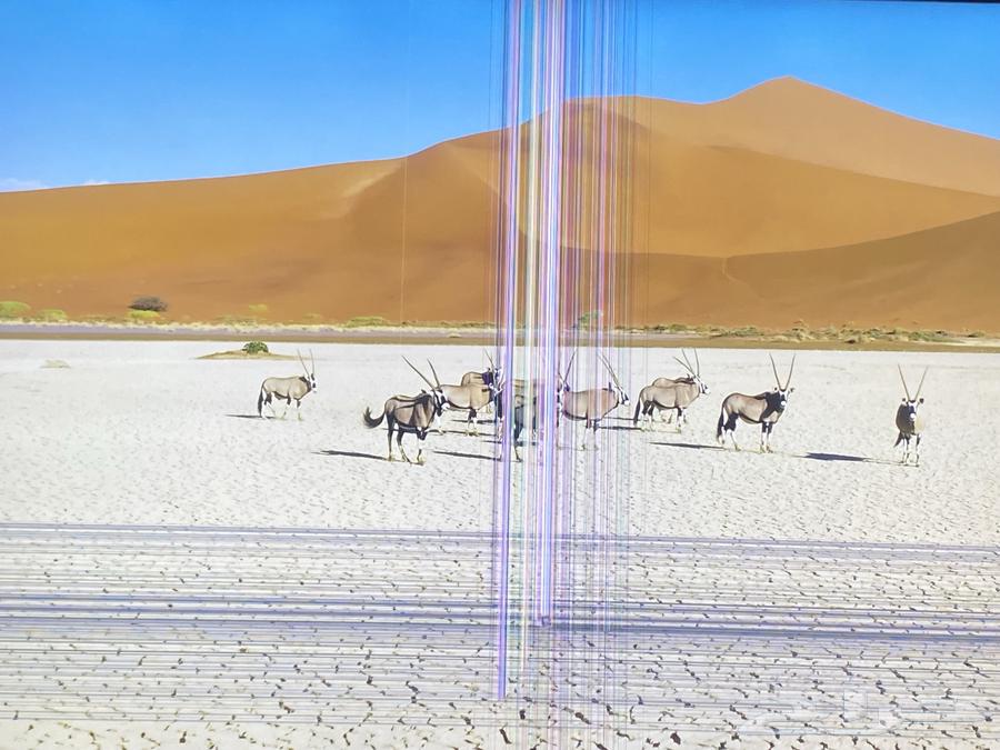 Class Pro Screen64500187811330111