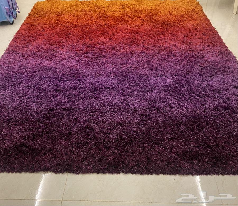 Zoolia or Carpet64499939789058111