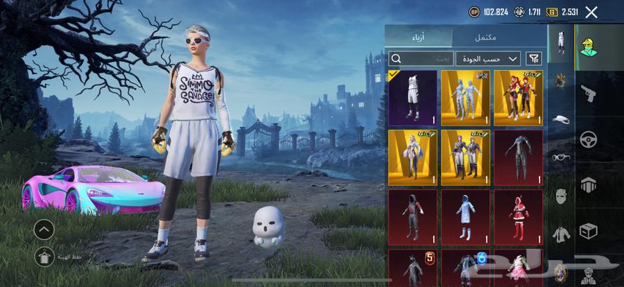 حساب ببجي قوي64465226388866111