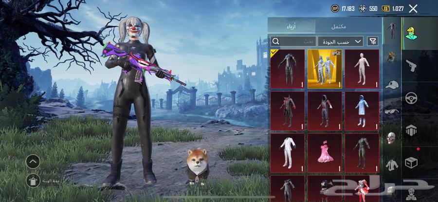 حساب ببجي للبيع مستوا 6964495434033921114