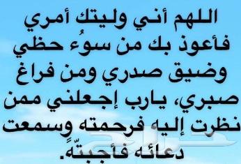 شيول اعمال النظافه64678987149699110