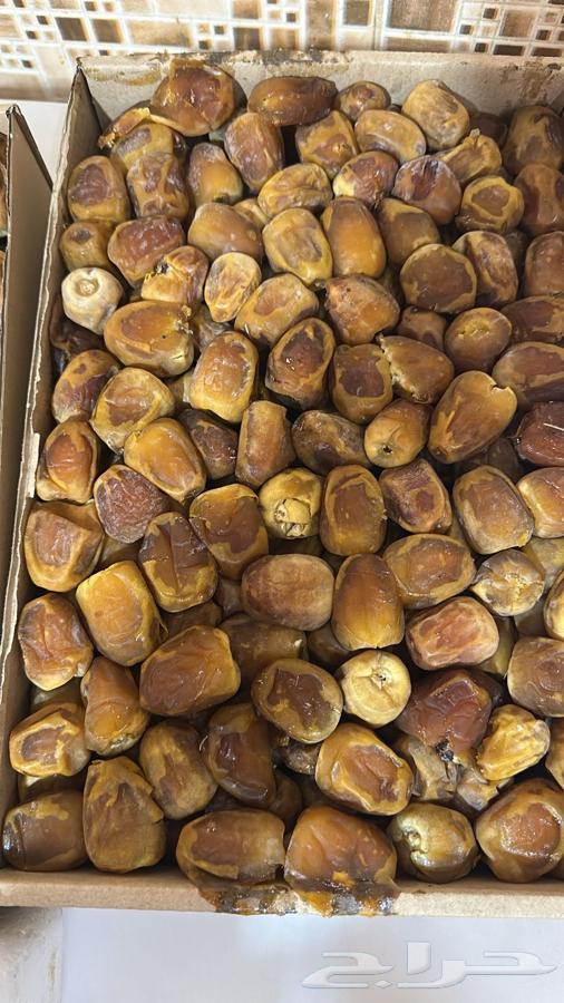 We have goods - fresh sugar date from Al-Qassim, condition three64498354585857112