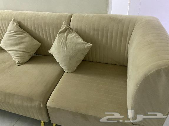 Sofa64495679063554113