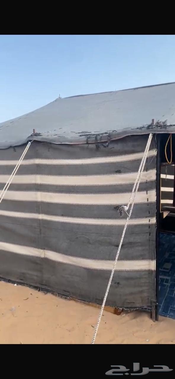 بيت شعر مستخدم 13 في 6 الموقع بريده التواصل64497290047107110