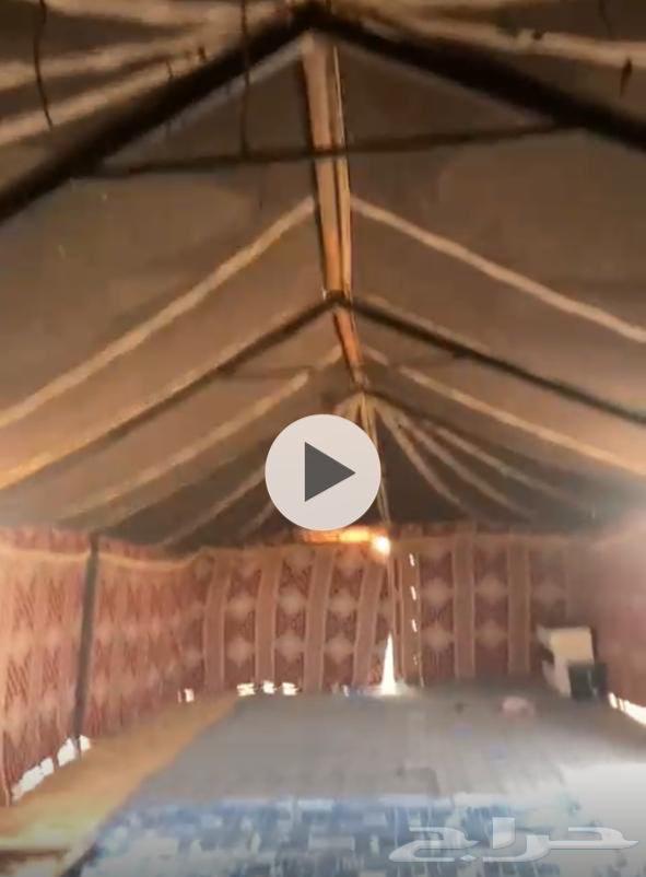 بيت شعر مستخدم 13 في 6 الموقع بريده التواصل64497290047107111