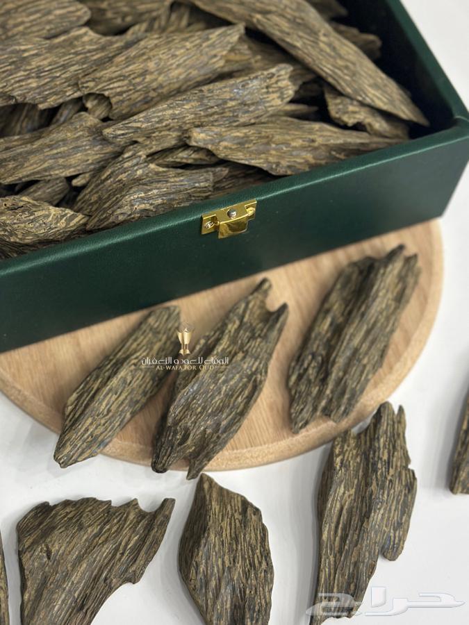 Blue Oud Klimtan, White Face and As Per Condition64500713688579110