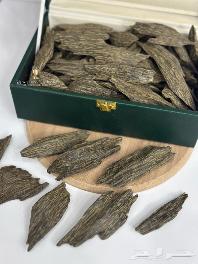 Blue Oud Klimtan, White Face and As Per Condition64500713688579113