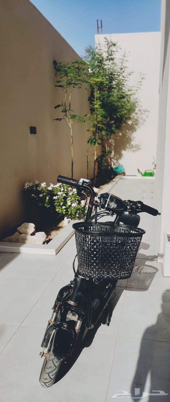 سكوتر كهربائي مع مقعده خلفيه64501890109442110