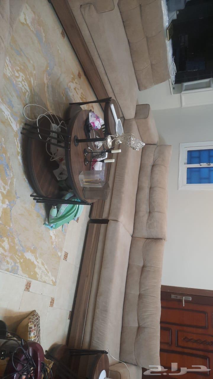 كنب مجلس للبيع64500008509441113