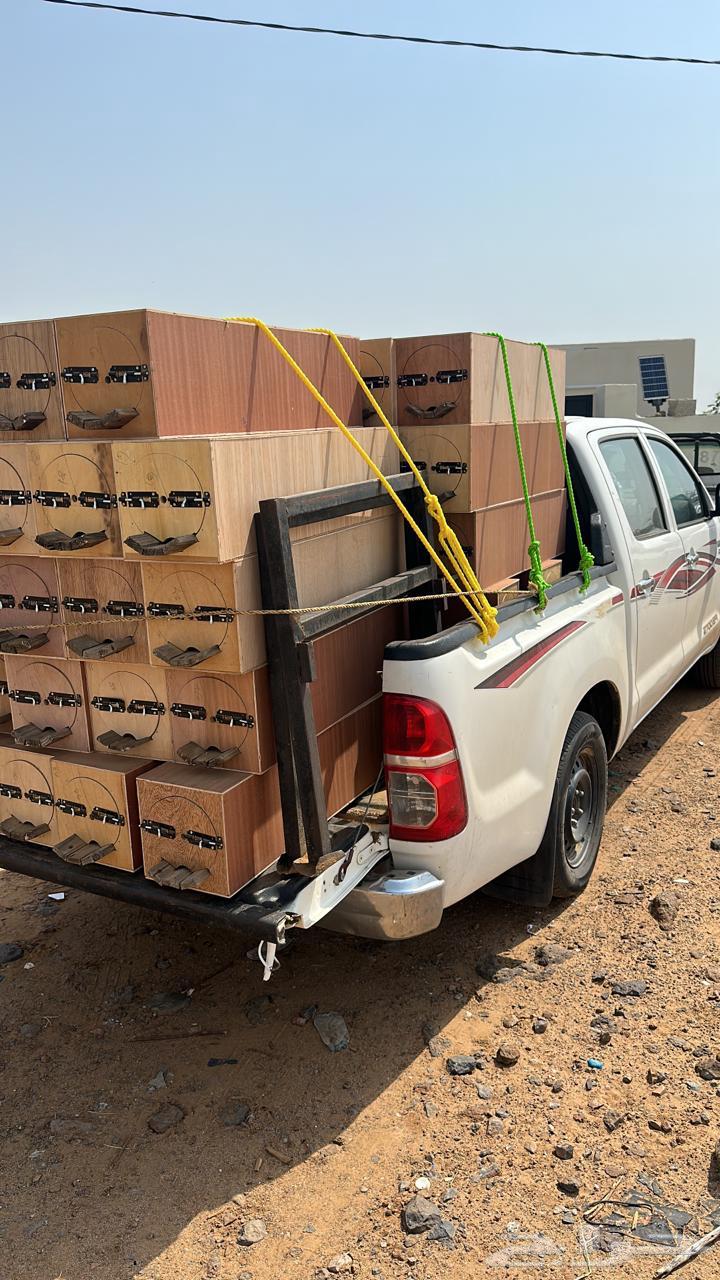 للبيع عيدان نحل 6 ملي اندنوسي64501890174979111