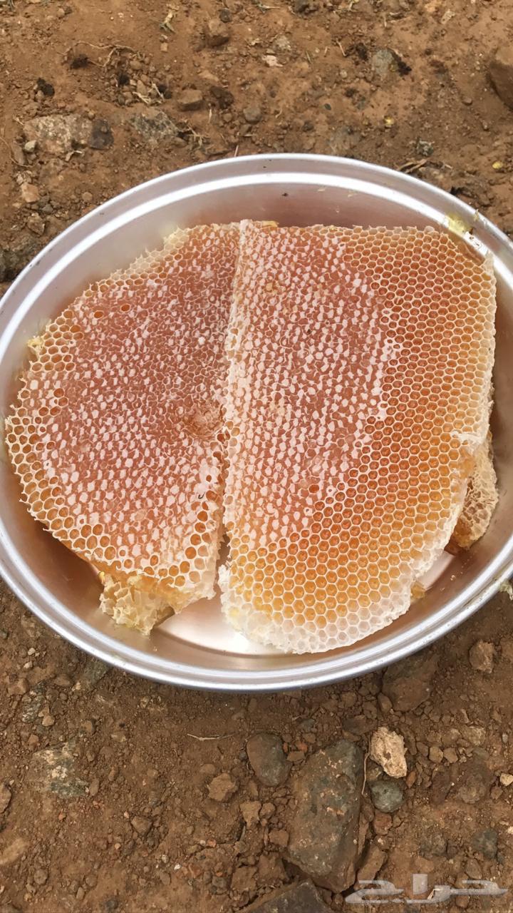Sidr, Sumrah, and Talh honey for sale64495885584385114