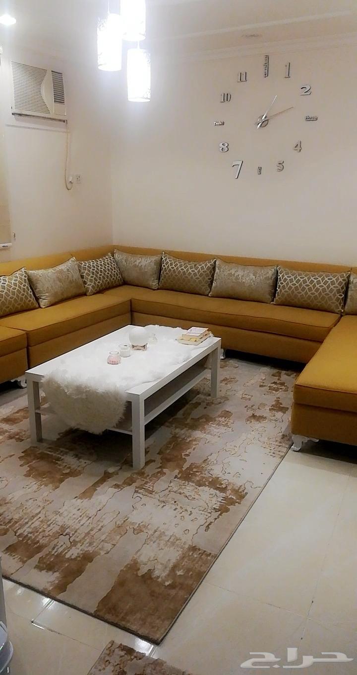 كنب صاله حرف L للبيع مع الفرشه والدعاسه64499507525250111