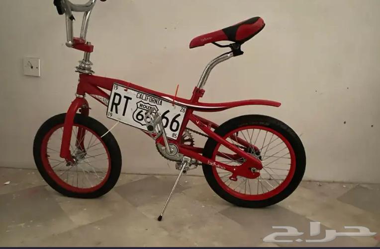 Cyclone Cobra64498550350465111