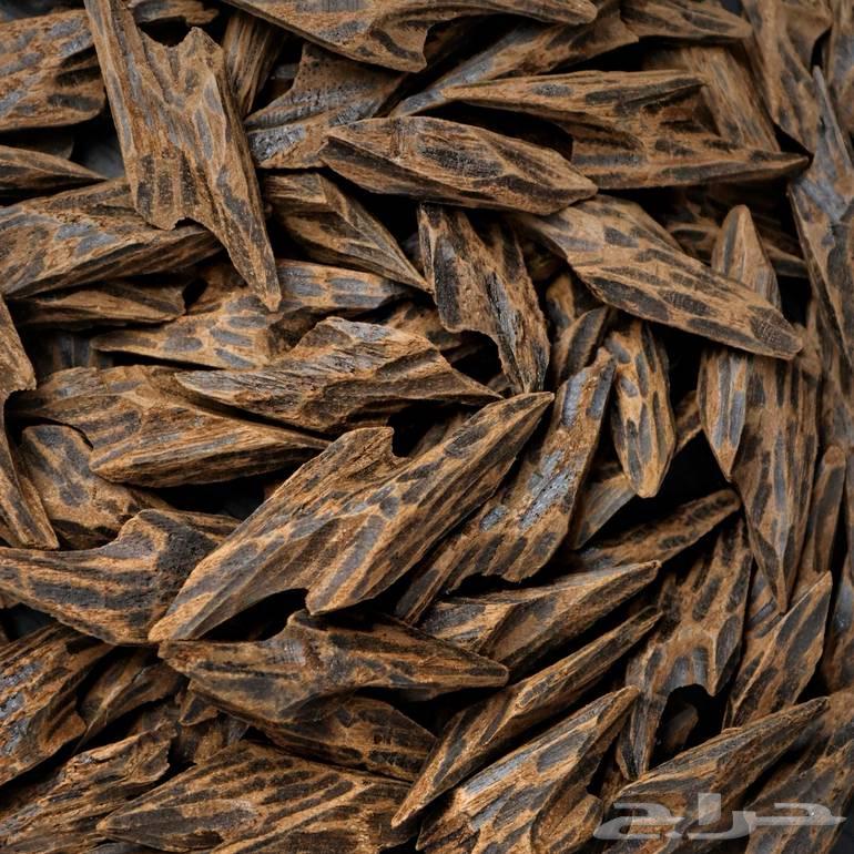 عود كمبودي ( تايقر )64500505210243110