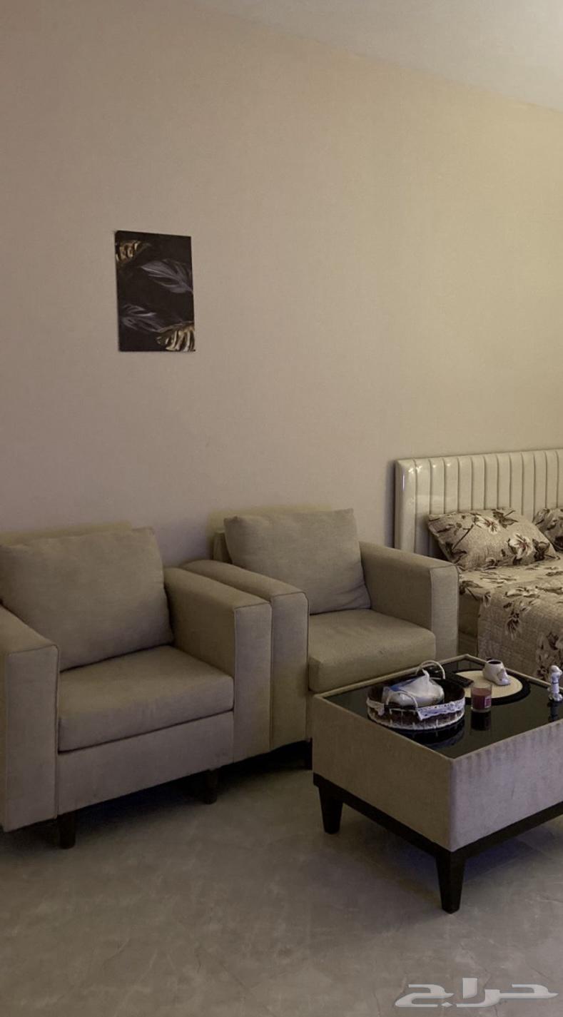 Single sofa, two pieces. 99 SAR64502152379905113