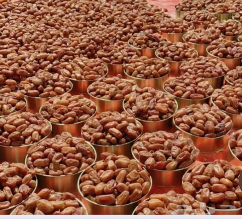 Bisha Safri Dates64496723528195110