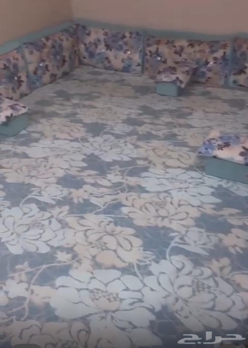 كنب ازرق مع سجاده. للبيع المستعجل64502152397059110
