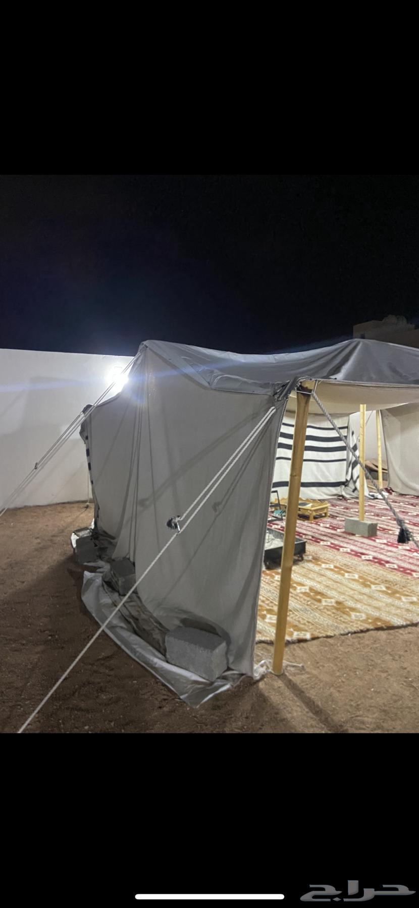 قطيه للبيع 7في564496132197761110